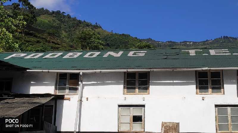 355 Acre Agricultural/Farm Land for Sale in Kolbong, Darjeeling