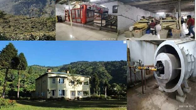 355 Acre Agricultural/Farm Land for Sale in Kolbong, Darjeeling