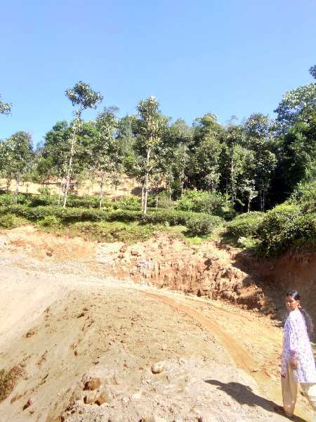 20 Acre Agricultural/Farm Land for Sale in Sukhia Pokhari, Darjeeling