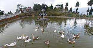 Property for sale in Sukhia Pokhari, Darjeeling