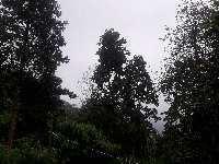 Property for sale in Kolbong, Darjeeling