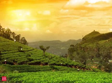 Property for sale in Kolbong, Darjeeling