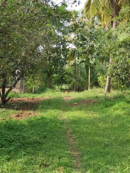 5.7 Acre Agricultural/Farm Land for Sale in Kanakapura, Bangalore