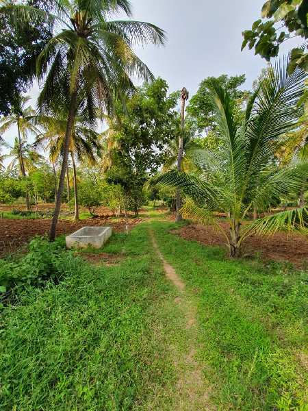 5.7 Acre Agricultural/Farm Land for Sale in Kanakapura, Bangalore