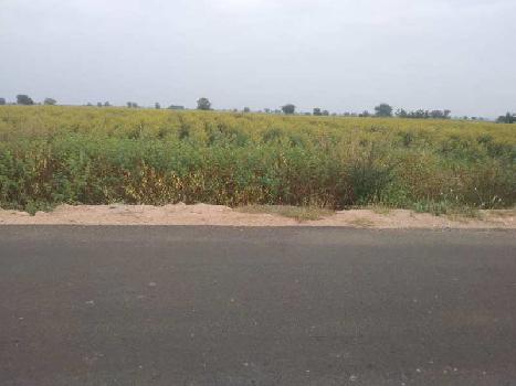 60 Acre Agricultural/Farm Land for Sale in Chitapur, Gulbarga