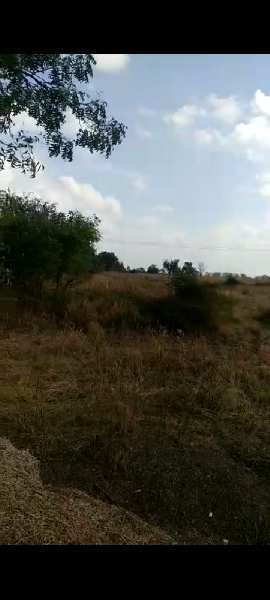 5 Acre Agricultural/Farm Land for Sale in Chincholi, Gulbarga