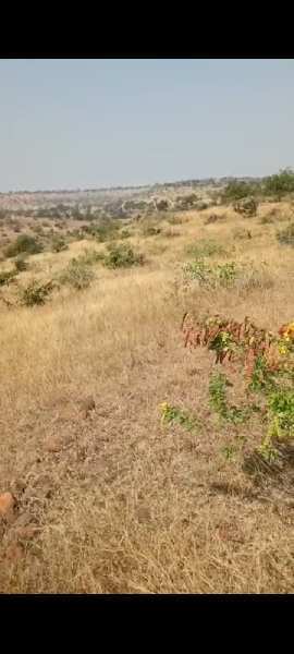 300 Acre Agricultural/Farm Land for Sale in Chincholi, Gulbarga