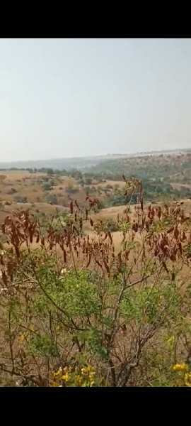 300 Acre Agricultural/Farm Land for Sale in Chincholi, Gulbarga