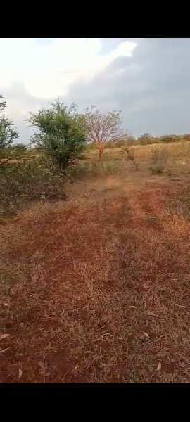 72 Acre Agricultural/Farm Land for Sale in Humnabad, Bidar