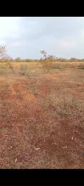 72 Acre Agricultural/Farm Land for Sale in Humnabad, Bidar