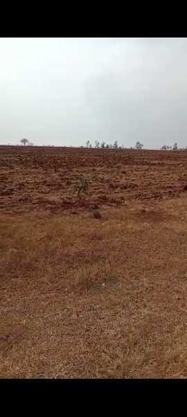 18 Acre Agricultural/Farm Land for Sale in Humnabad, Bidar