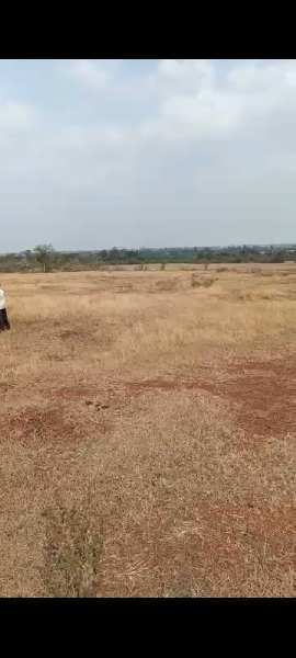 50 Acre Agricultural/Farm Land for Sale in Humnabad, Bidar