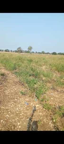4 Acre Agricultural/Farm Land for Sale in Tandur, Vikarabad