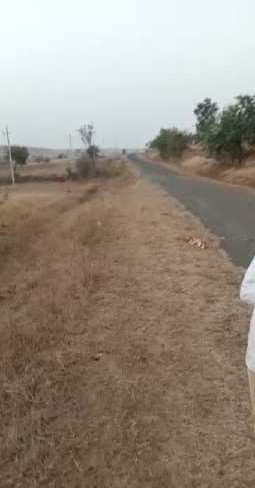 200 Acre Agricultural/Farm Land for Sale in Chincholi, Gulbarga