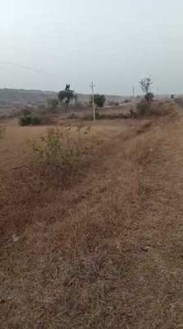 200 Acre Agricultural/Farm Land for Sale in Chincholi, Gulbarga