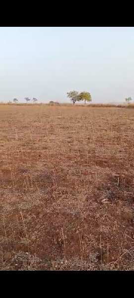 50 Acre Agricultural/Farm Land for Sale in Basavakalyan, Bidar