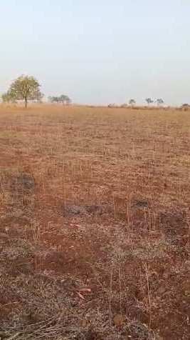 1000 Acre Agricultural/Farm Land for Sale in Basavakalyan, Bidar