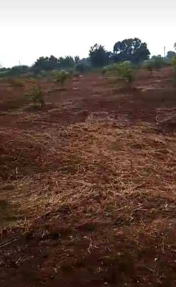 3 Acre Agricultural/Farm Land for Sale in Kohir, Sangareddy