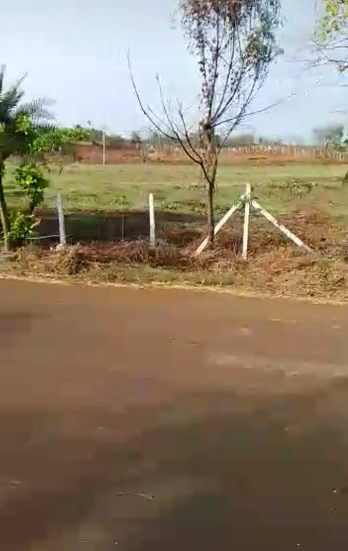 5 Acre Agricultural/Farm Land for Sale in Marpally Mandal, Rangareddy