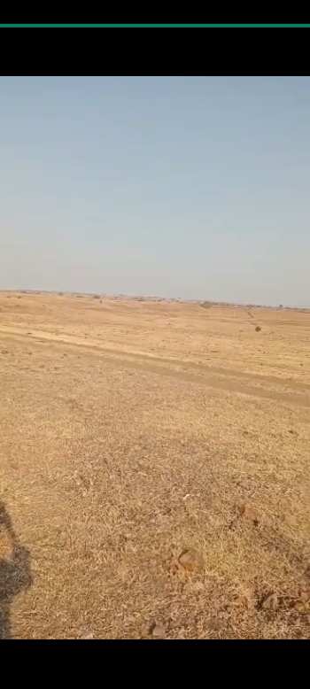 150 Acre Agricultural/Farm Land for Sale in Aurad, Bidar
