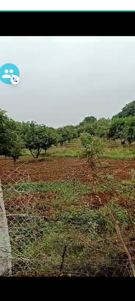 3.5 Acre Agricultural/Farm Land for Sale in Telangana