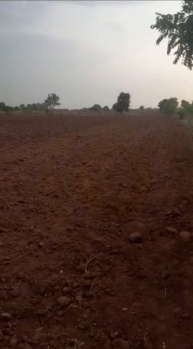 8.14 Acre Agricultural/Farm Land for Sale in Chincholi, Gulbarga