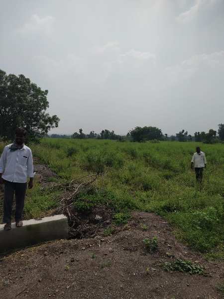 18 Acre Agricultural/Farm Land for Sale in Chincholi, Gulbarga