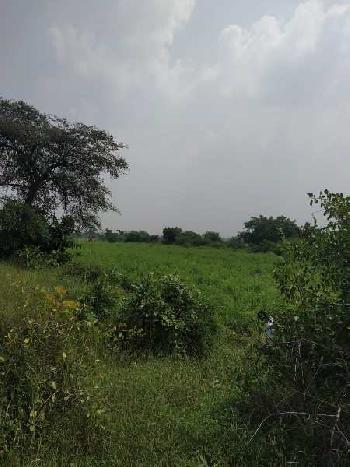 24 Acre Agricultural/Farm Land for Sale in Chincholi, Gulbarga