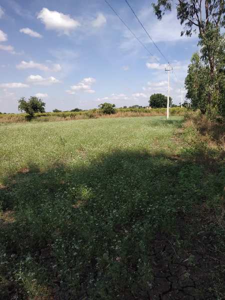 30 Acre Agricultural/Farm Land For Sale In Chincholi, Gulbarga