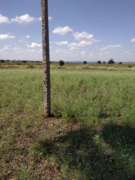 30 Acre Agricultural/Farm Land for Sale in Chincholi, Gulbarga