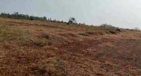 20 Acre Agricultural/Farm Land for Sale in Humnabad Road, Gulbarga