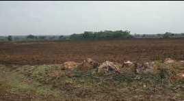 3.14 Acre Agricultural/Farm Land for Sale in Kodangal, Vikarabad