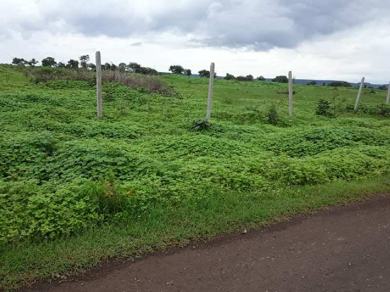50 Acre Agricultural/Farm Land for Sale in Kothapalli, Hyderabad