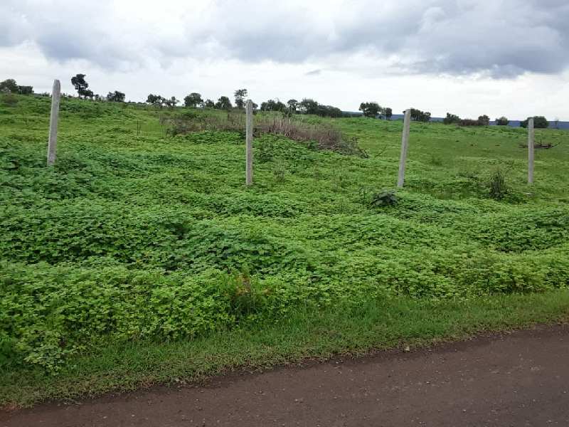 50 Acre Agricultural/Farm Land for Sale in Kothapalli, Hyderabad