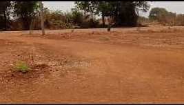 9 Acre Agricultural/Farm Land for Sale in Kohir, Medak