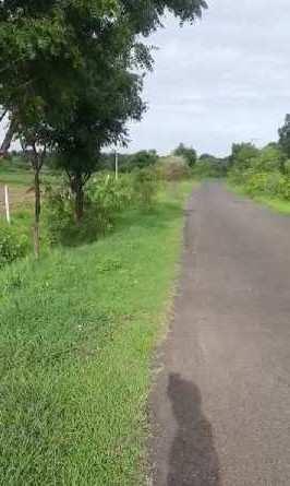 8 Acre Agricultural/Farm Land for Sale in Mominpet Mandal, Vikarabad