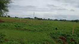 7 Acre Agricultural/Farm Land for Sale in Medak