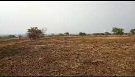 60 Acre Agricultural/Farm Land for Sale in Vikarabad