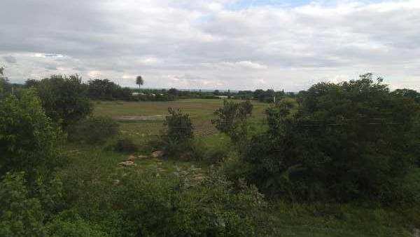 7 Acre Agricultural/Farm Land for Sale in Tandur, Vikarabad