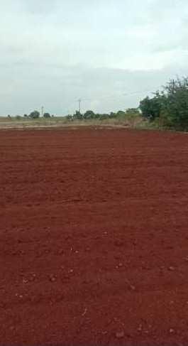 60 Acre Agricultural/Farm Land for Sale in Chitgoppa, Bidar