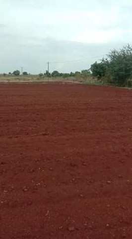 60 Acre Agricultural/Farm Land for Sale in Chitgoppa, Bidar