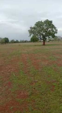 30 Acre Agricultural/Farm Land for Sale in Chitgoppa, Bidar