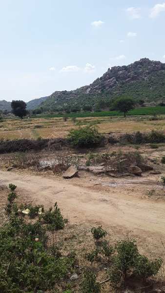 20 Acre Agricultural/Farm Land for Sale in Narayanpet, Mahbubnagar