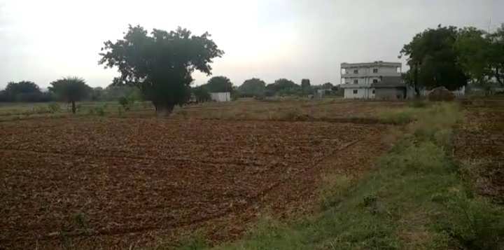10 Acre Agricultural/Farm Land for Sale in Kondurg, Mahbubnagar
