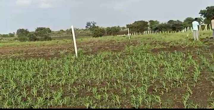 18 Acre Agricultural/Farm Land for Sale in Pudur, Rangareddy