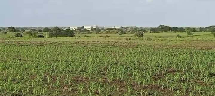 18 Acre Agricultural/Farm Land for Sale in Pudur, Rangareddy