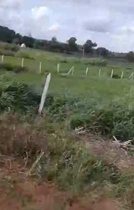 4 Acre Agricultural/Farm Land for Sale in Mominpet Mandal, Vikarabad