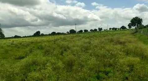 5 Acre Agricultural/Farm Land for Sale in Mominpet Mandal, Vikarabad