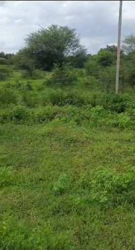 55 Acre Agricultural/Farm Land for Sale in Kohir, Medak