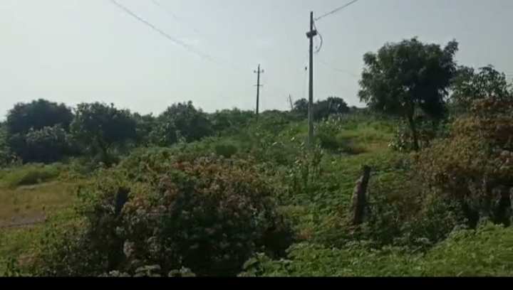 25 Acre Agricultural/Farm Land for Sale in Chincholi, Gulbarga